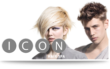 Iconhairspa