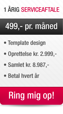 1 �rig serviceaftale hos XLweb